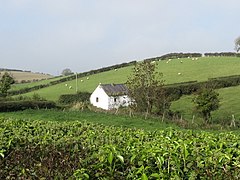 A traditional cottage on the lane running north to Grangicam - geograph.org.uk - 2636663.jpg