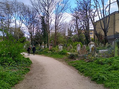 Abney Park