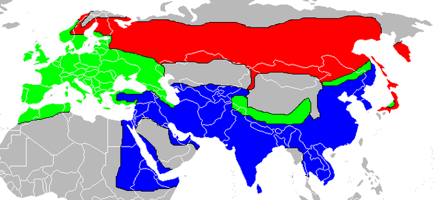 Distribución do gabián. En verde = sedentario, en vermello= só no verán, en azul = só no inverno