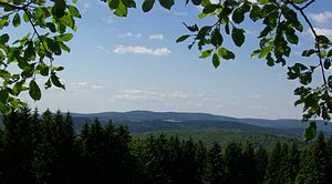 Blick auf den Adlersberg (Bildmitte, mit Turm)