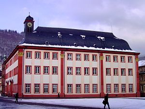 Heidelberg Alte Universität: Geschichte, Nutzung, Literatur