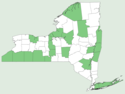 Amelanchier intermedia NY-dist-map.png