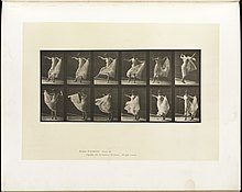 Animal locomotion. Plate 189 (Boston Public Library).jpg