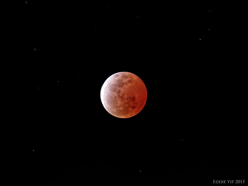 File:April 4th's Lunar Eclipse (17032923825).jpg