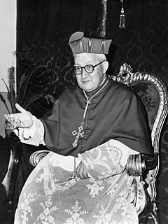Arcadio Larraona Saralegui Catholic cardinal