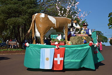 Quốc kỳ Argentina và Thụy Sĩ tại lễ hội di dân 2014.
