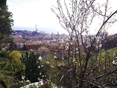 Canet des dels atmetllers