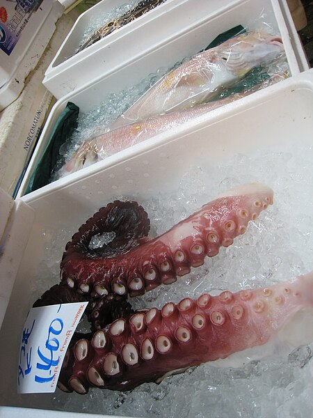 File:August 2007 Tsukiji fish market 10.jpg