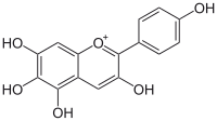 Immagine illustrativa dell'articolo Aurantinidin