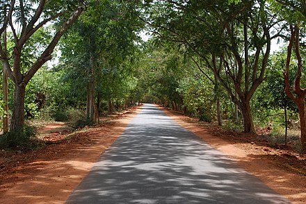 Auroville Road