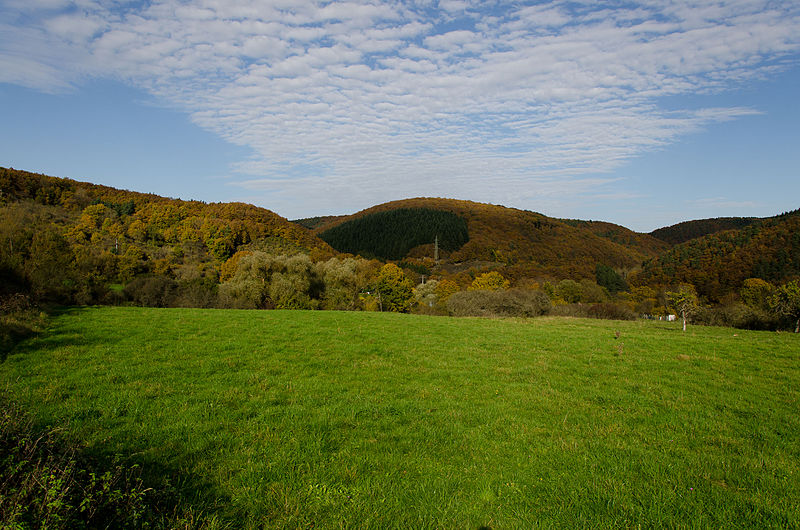 File:Autumn in the hills (15758167475).jpg