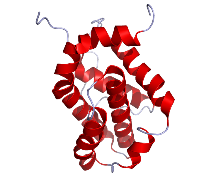 File:BCL2 Crystal Structure.rsh.png
