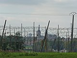 Sur le circuit du Ravensberg les houblonnières, Hommelpap Bailleul Nord.- France.