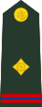 Warrant officer (Bengali: ওয়ারেন্ট অফিসার, romanized: Ōẏārēnṭa aphisāra) (Bangladesh Army)[41]