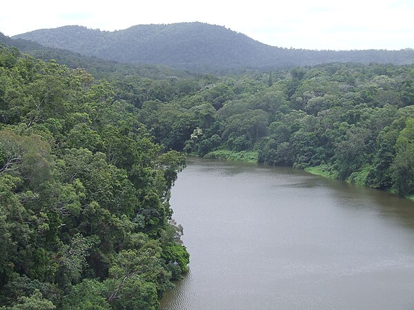 The reservoir of the Barron River behind the hydro-electro dam above the Barron Falls as viewed from a Skyrail gondola heading to Kuranda station.