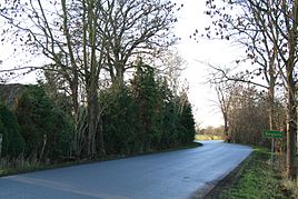 Village road north of the development