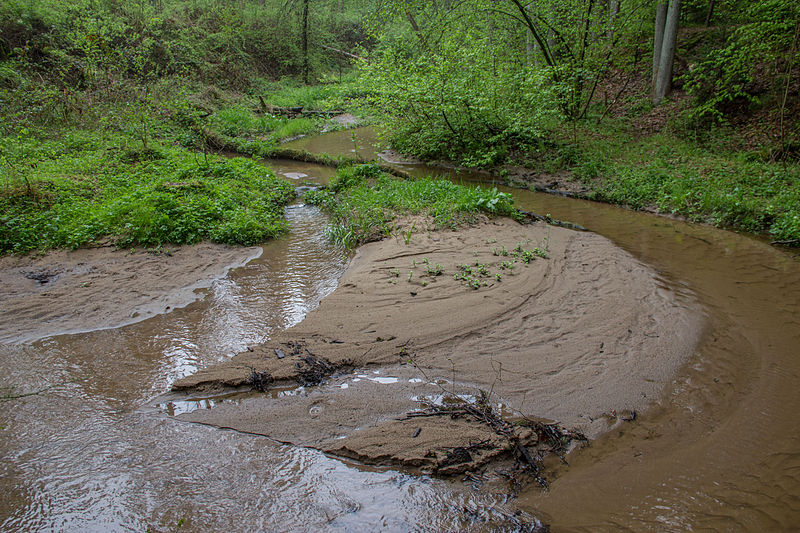 File:Bitterbachschlucht 2015 05.jpg