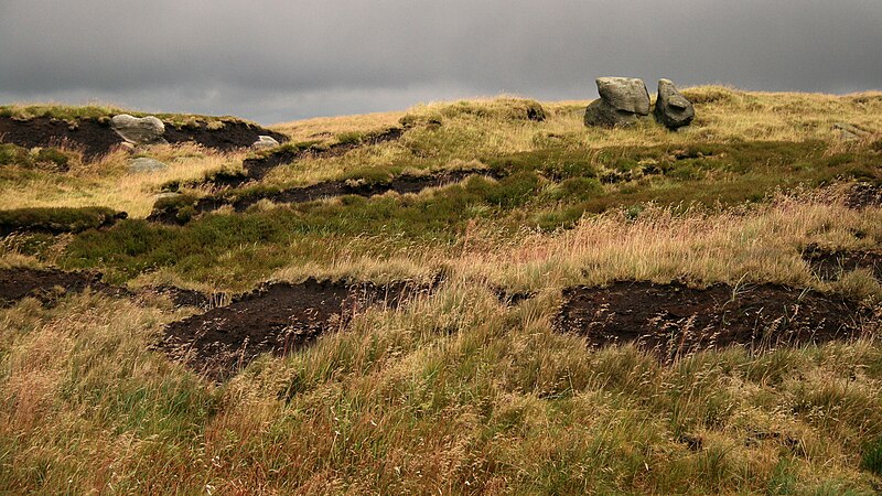 File:Bleaklow - panoramio.jpg