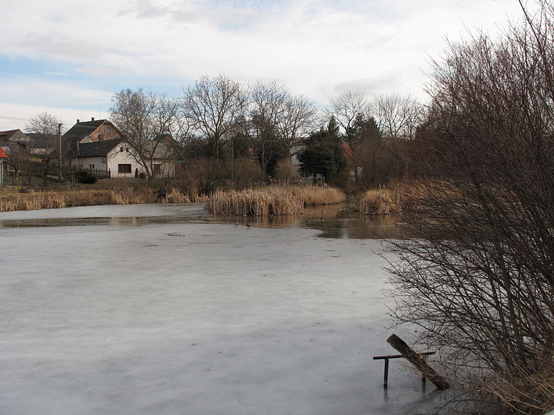 File:Bořetice (Červené Pečky), Bořetický rybník, pata.JPG