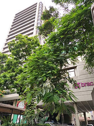 <span class="mw-page-title-main">BRAC Centre</span> Headquarters of BRAC , commercial office in Dhaka, Bangladesh