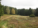 Naturschutzgebiet Gretenberg