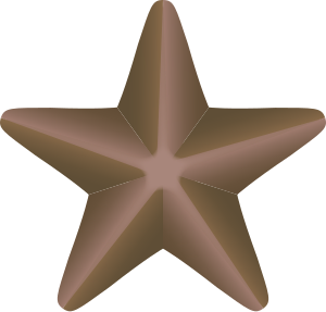 Bronze-service-star-3d-vector.svg