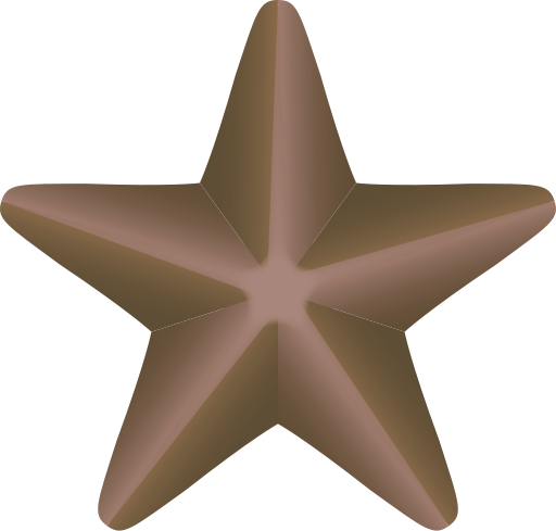 File:Bronze-service-star-3d-vector.svg