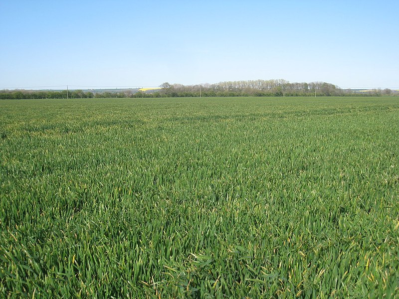 File:Broughton Carrs (2) - geograph.org.uk - 2923821.jpg