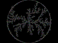 Brownian tree circle large.png