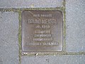 Deutsch: Stolperstein für Bruno Meisel vor dem Gebäude Alsterdorfer Straße 113 in Hamburg-Winterhude.