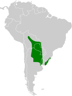 Callonetta leucophrys map.svg