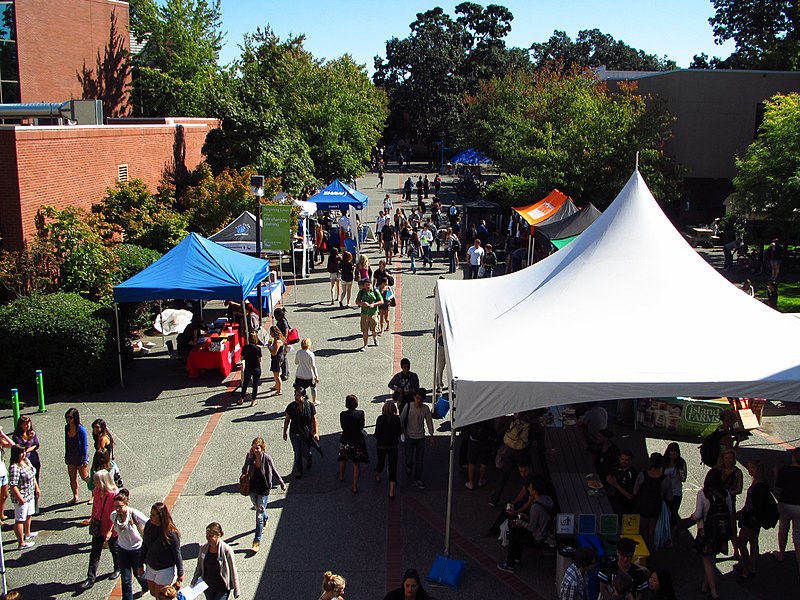 camosun college logo