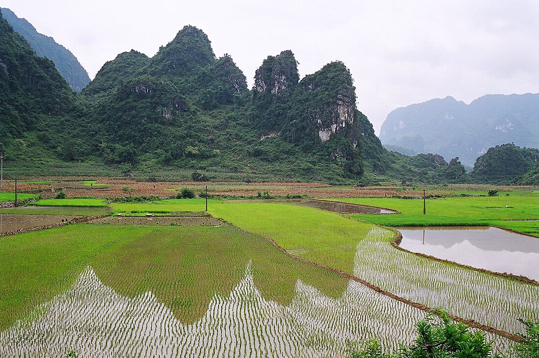 Provincia di Cao Bang