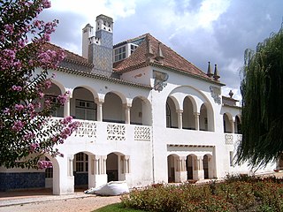 <span class="mw-page-title-main">Alpiarça</span> Municipality in Alentejo, Portugal