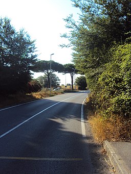 Via di Castel di Guido.