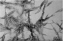 Cellulose Nanoparticles that can be synthesized through Chemosynthetic methods. Cellulose Nanotechnology (36931269271).jpg