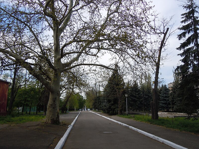 File:Chkalov Health Spa park 11.JPG