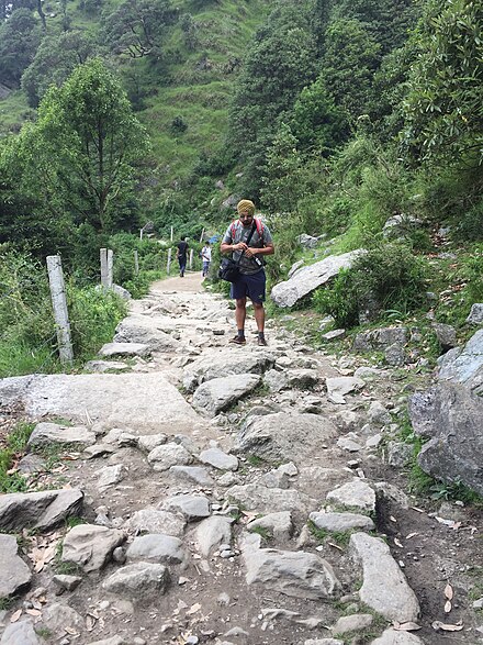 Triund trek