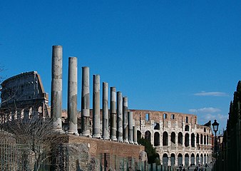 Columns, with Colosseum in the background