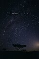 Constellation Lupus.jpg