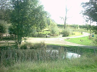One of the spring-fed ponds at Great Tottington Cossingtonpond.jpg