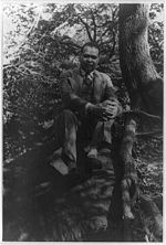 Miniatura para Countee Cullen