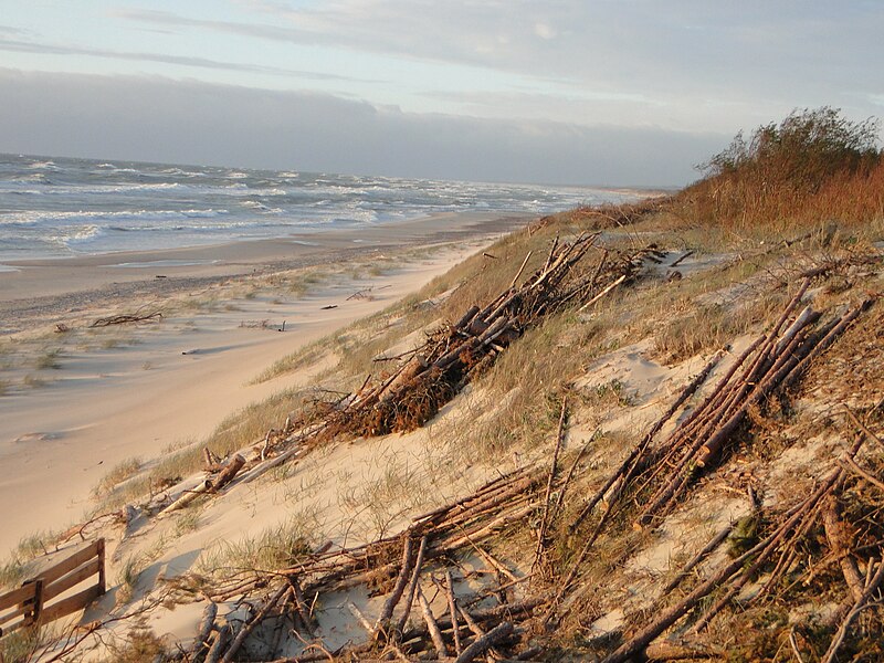 File:Curonian Spit 1 (National Park).jpg