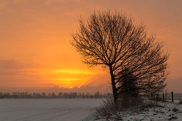 Восход солнца в районе Хаусдюльмен, Дюльмен, Северный Рейн-Вестфалия, Германия