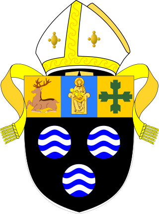 <span class="mw-page-title-main">Diocese of Southwell and Nottingham</span> Diocese of the Church of England