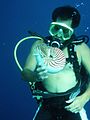 Diver with Palau nautilus showing size of a typical captured specimen