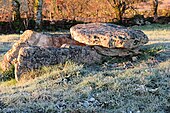 Dolmen de Pierre-Basse