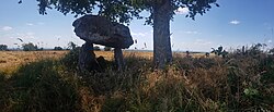 Immagine illustrativa dell'articolo Dolmen du Gouty