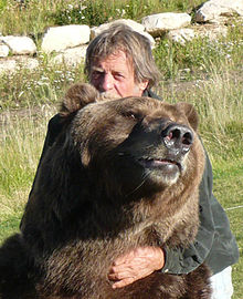 Bart the Bear II, featured in countless films and TV shows, dies