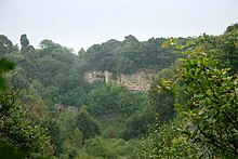 Clay Pit Doultons - geograph.org.uk - 1093340.jpg